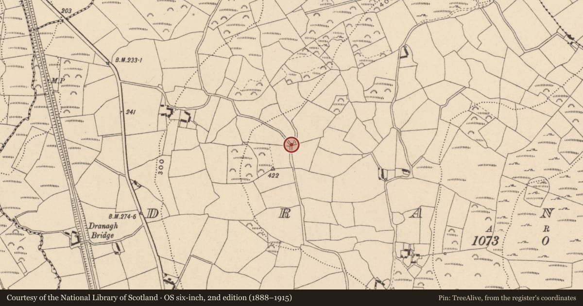Ordnance Survey six-inch map, 2nd edition (1888–1915) covering the location of Standing stone, Dranagh, County Carlow, with a pin at the register's coordinates