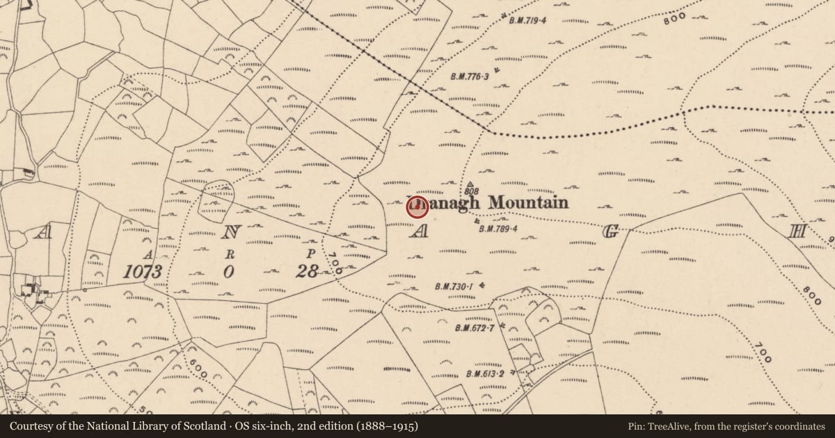 Ordnance Survey six-inch map, 2nd edition (1888–1915) covering the location of Standing stone, Dranagh, County Carlow, with a pin at the register's coordinates