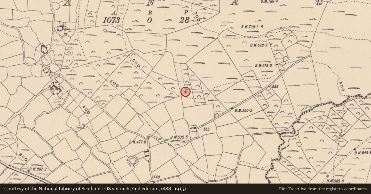Ordnance Survey six-inch map, 2nd edition (1888–1915) covering the location of Cairn - unclassified, Dranagh, County Carlow, with a pin at the register's coordinates