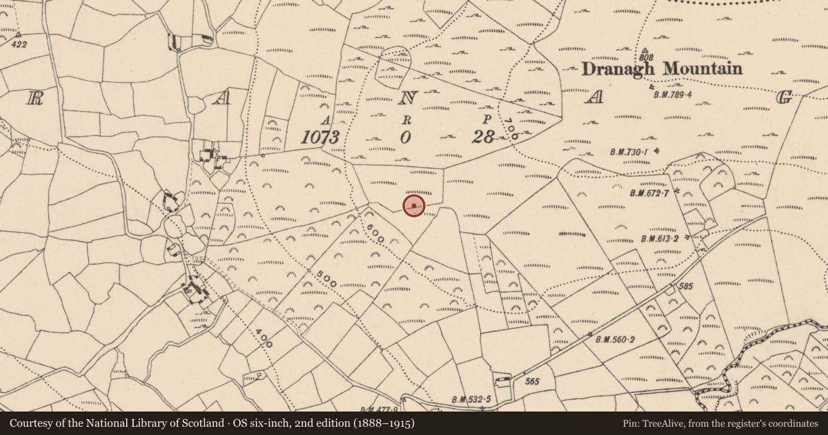 Ordnance Survey six-inch map, 2nd edition (1888–1915) covering the location of Field boundary, Dranagh, County Carlow, with a pin at the register's coordinates