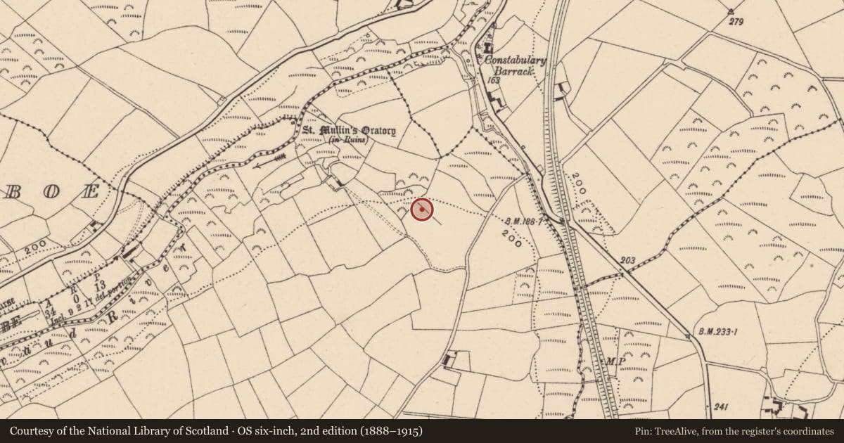 Ordnance Survey six-inch map, 2nd edition (1888–1915) covering the location of Ringfort - rath, Ballyknock, County Carlow, with a pin at the register's coordinates