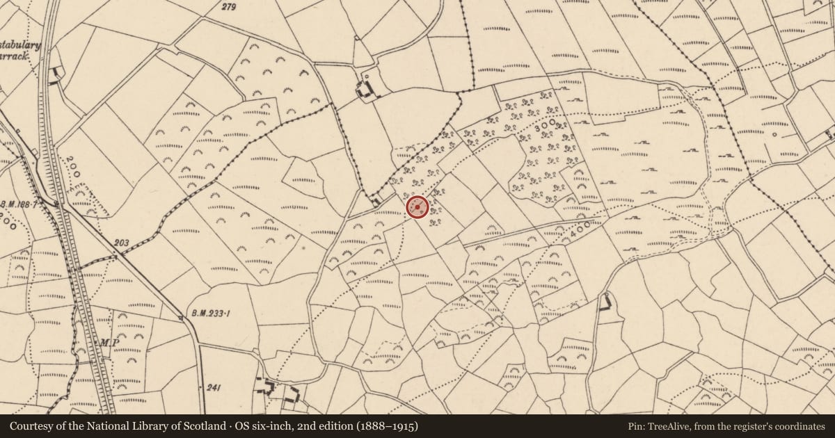Ordnance Survey six-inch map, 2nd edition (1888–1915) covering the location of Enclosure, Dranagh, County Carlow, with a pin at the register's coordinates