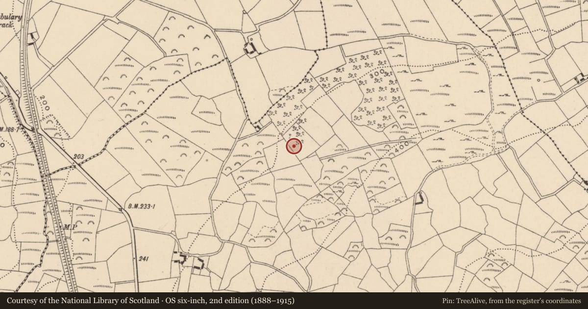 Ordnance Survey six-inch map, 2nd edition (1888–1915) covering the location of Hut site, Dranagh, County Carlow, with a pin at the register's coordinates