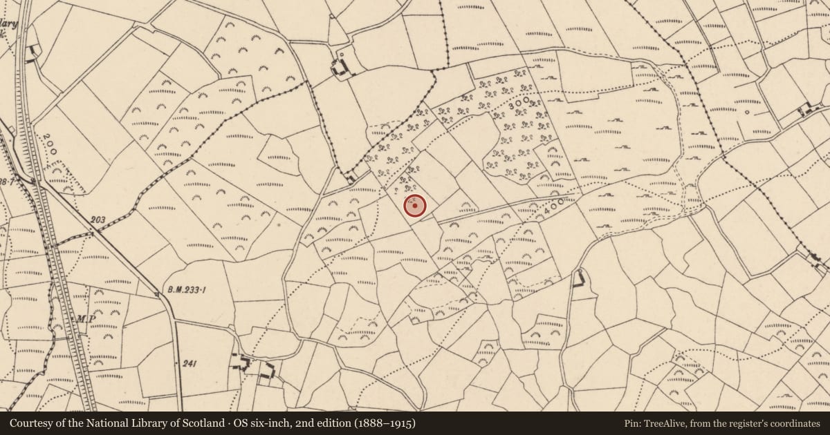 Ordnance Survey six-inch map, 2nd edition (1888–1915) covering the location of Field system, Dranagh, County Carlow, with a pin at the register's coordinates