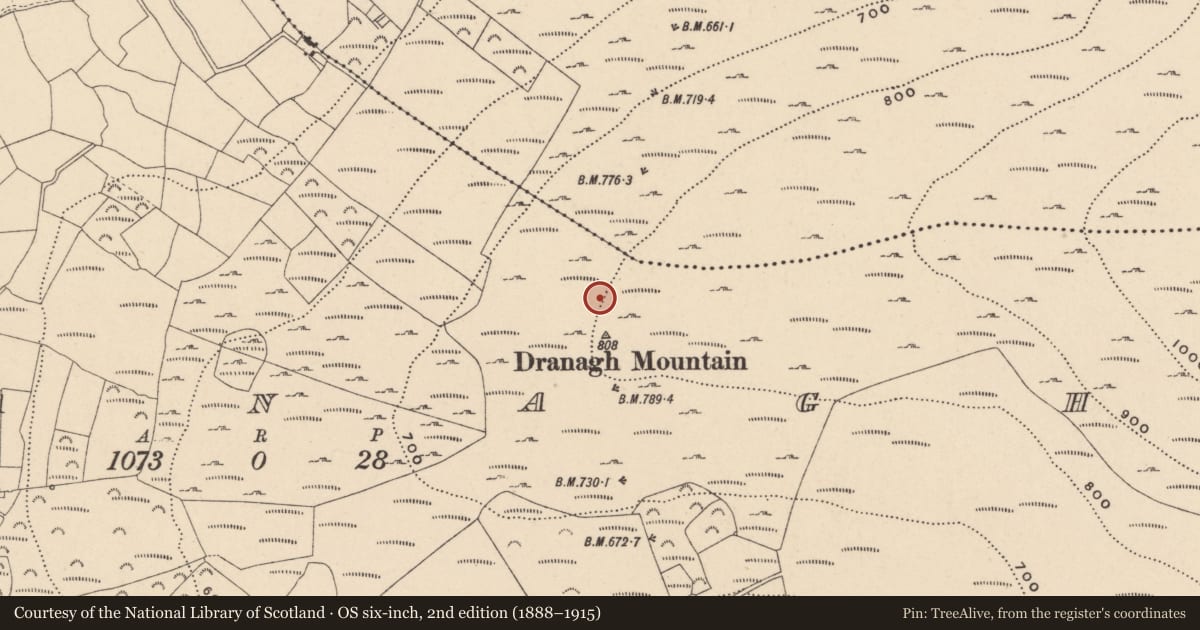 Ordnance Survey six-inch map, 2nd edition (1888–1915) covering the location of Cairn - unclassified, Dranagh, County Carlow, with a pin at the register's coordinates