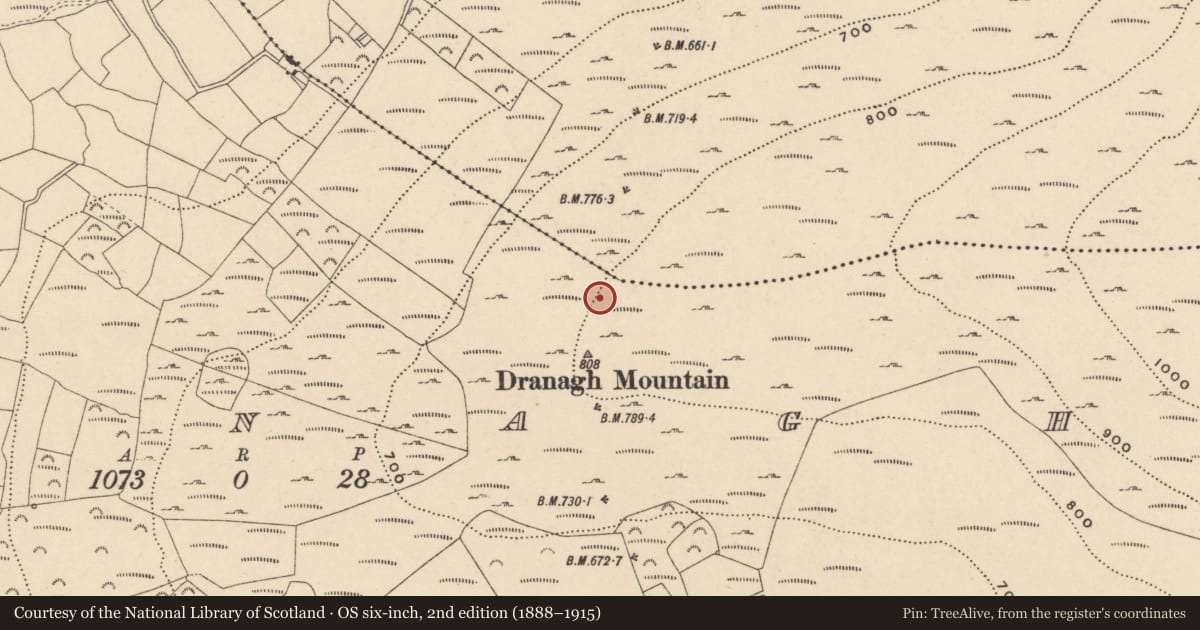 Ordnance Survey six-inch map, 2nd edition (1888–1915) covering the location of Cairn - unclassified, Dranagh, County Carlow, with a pin at the register's coordinates