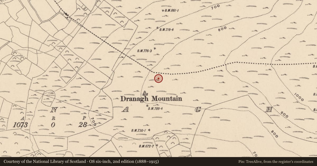 Ordnance Survey six-inch map, 2nd edition (1888–1915) covering the location of Cairn - unclassified, Dranagh, County Carlow, with a pin at the register's coordinates