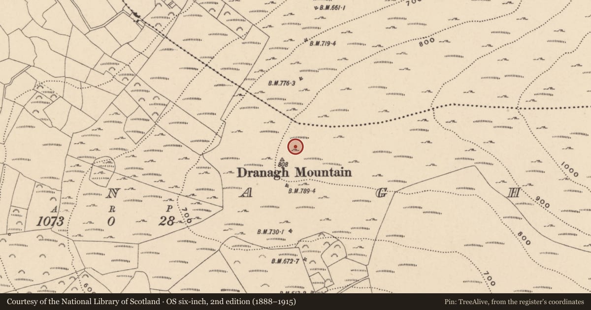 Ordnance Survey six-inch map, 2nd edition (1888–1915) covering the location of Cairn - unclassified, Dranagh, County Carlow, with a pin at the register's coordinates
