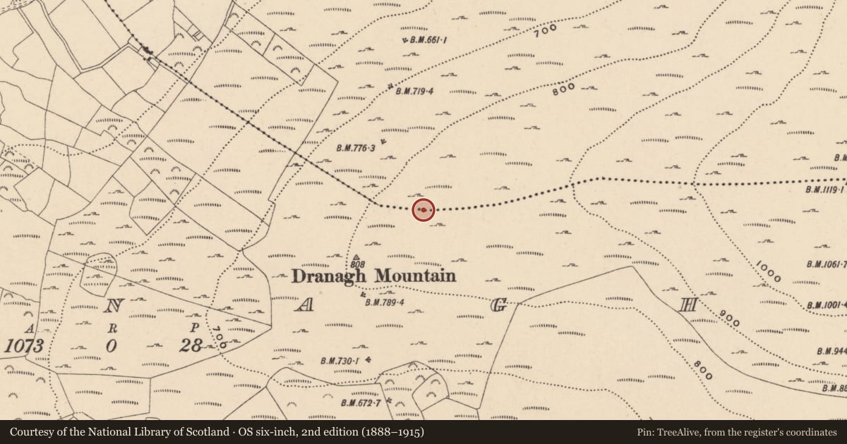 Ordnance Survey six-inch map, 2nd edition (1888–1915) covering the location of Field boundary, Dranagh, Ballycrinnigan, County Carlow, with a pin at the register's coordinates