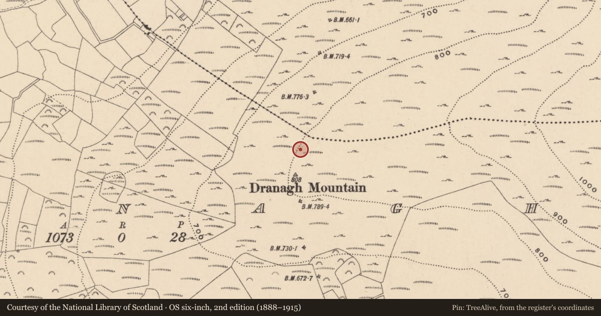 Ordnance Survey six-inch map, 2nd edition (1888–1915) covering the location of Cairn - unclassified, Dranagh, County Carlow, with a pin at the register's coordinates