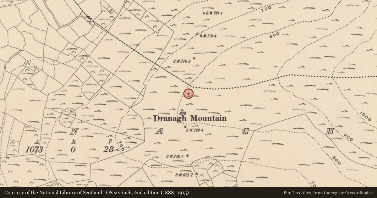 Ordnance Survey six-inch map, 2nd edition (1888–1915) covering the location of Cairn - unclassified, Dranagh, County Carlow, with a pin at the register's coordinates