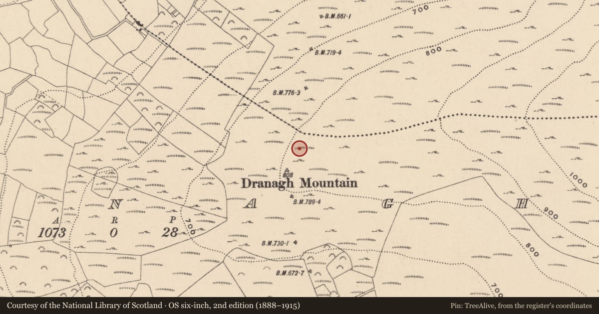 Ordnance Survey six-inch map, 2nd edition (1888–1915) covering the location of Cairn - unclassified, Dranagh, County Carlow, with a pin at the register's coordinates