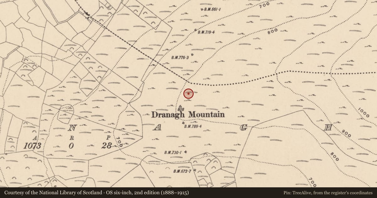 Ordnance Survey six-inch map, 2nd edition (1888–1915) covering the location of Cairn - unclassified, Dranagh, County Carlow, with a pin at the register's coordinates