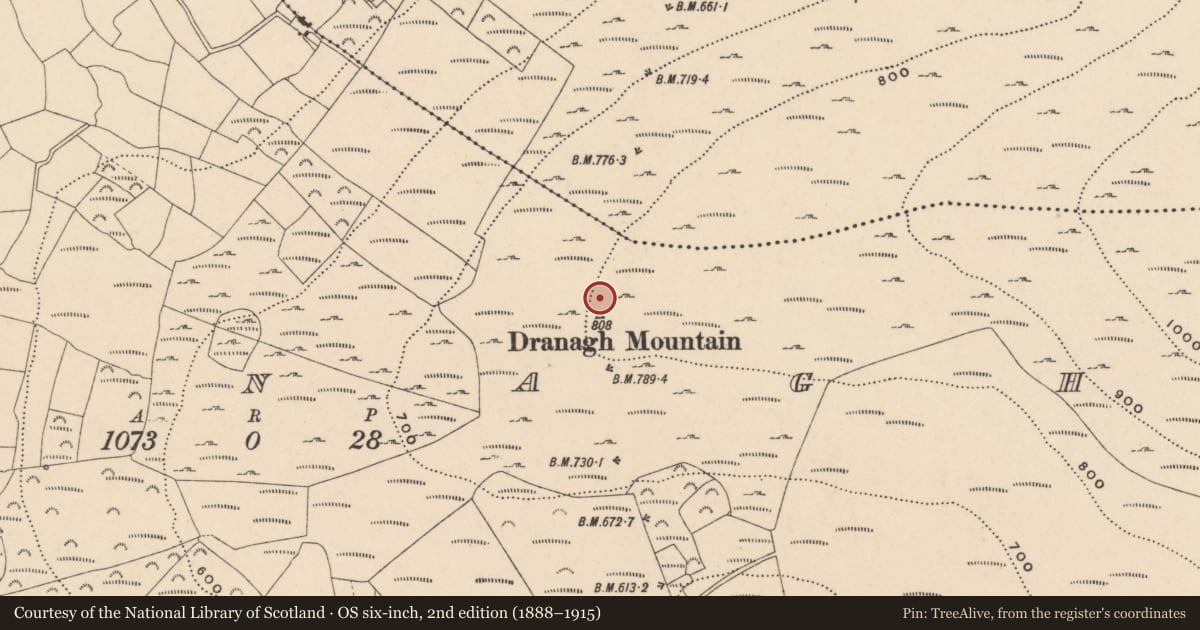 Ordnance Survey six-inch map, 2nd edition (1888–1915) covering the location of Cairn - unclassified, Dranagh, County Carlow, with a pin at the register's coordinates
