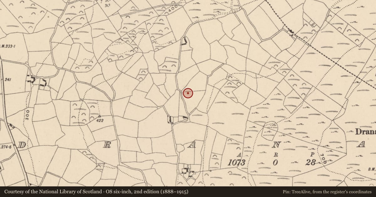 Ordnance Survey six-inch map, 2nd edition (1888–1915) covering the location of Rock art (present location), Dranagh, County Carlow, with a pin at the register's coordinates