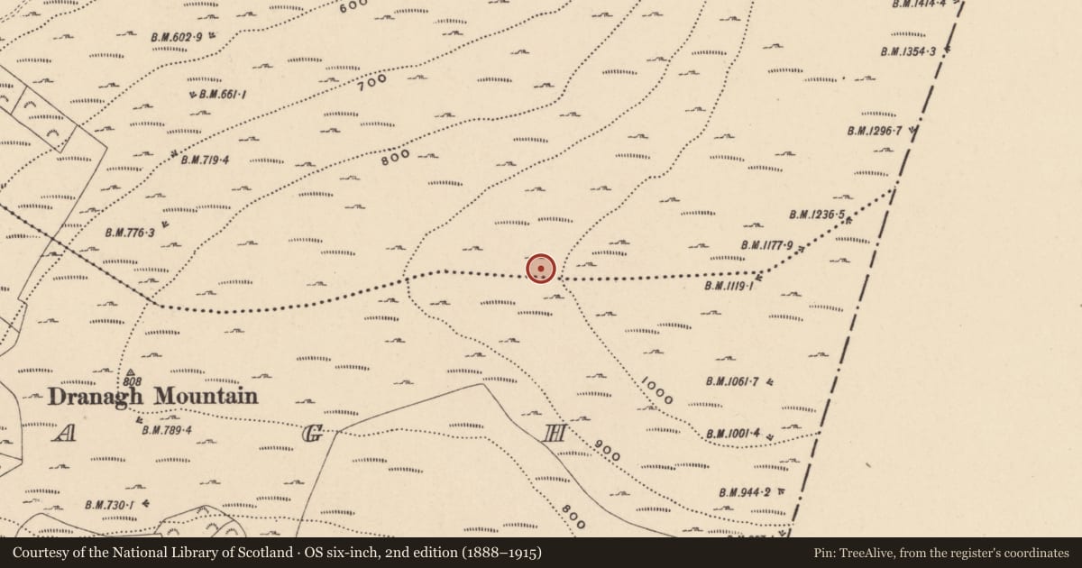 Ordnance Survey six-inch map, 2nd edition (1888–1915) covering the location of Cairn - unclassified, Ballycrinnigan, County Carlow, with a pin at the register's coordinates