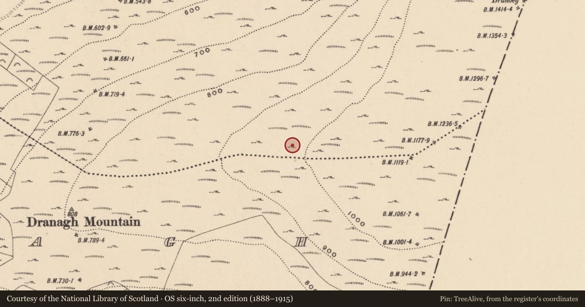 Ordnance Survey six-inch map, 2nd edition (1888–1915) covering the location of Cairn - unclassified, Ballycrinnigan, County Carlow, with a pin at the register's coordinates