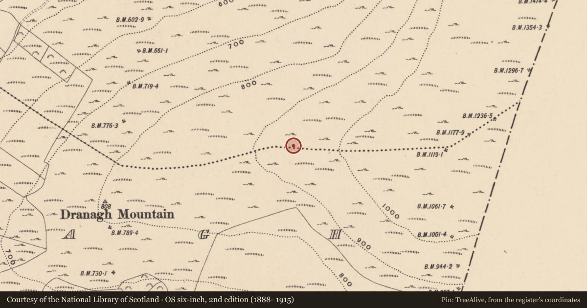Ordnance Survey six-inch map, 2nd edition (1888–1915) covering the location of Cairn - unclassified, Ballycrinnigan, County Carlow, with a pin at the register's coordinates