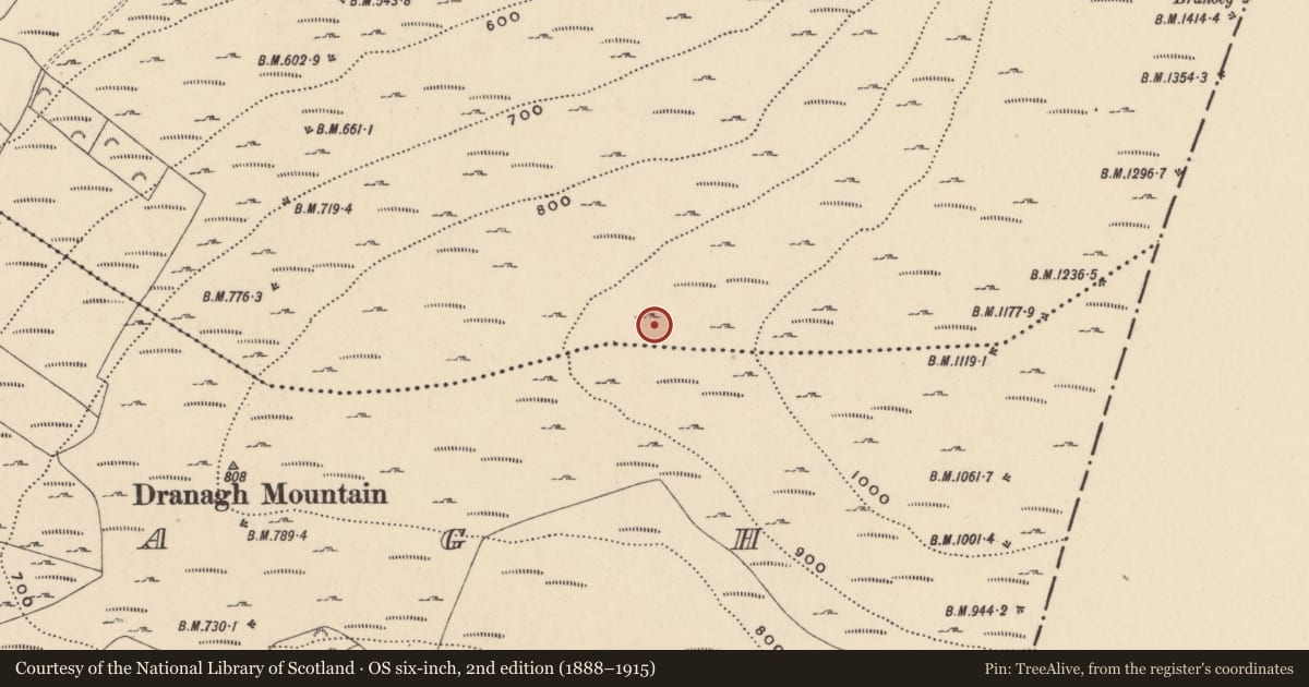 Ordnance Survey six-inch map, 2nd edition (1888–1915) covering the location of Cairn - unclassified, Ballycrinnigan, County Carlow, with a pin at the register's coordinates
