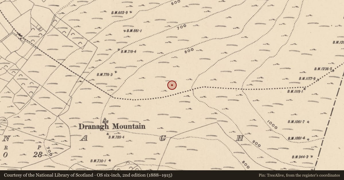 Ordnance Survey six-inch map, 2nd edition (1888–1915) covering the location of Cairn - unclassified, Ballycrinnigan, County Carlow, with a pin at the register's coordinates