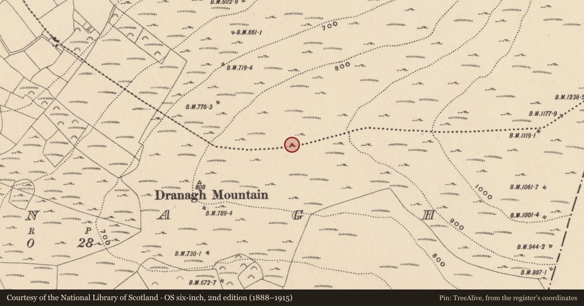 Ordnance Survey six-inch map, 2nd edition (1888–1915) covering the location of Cairn - unclassified, Dranagh, County Carlow, with a pin at the register's coordinates