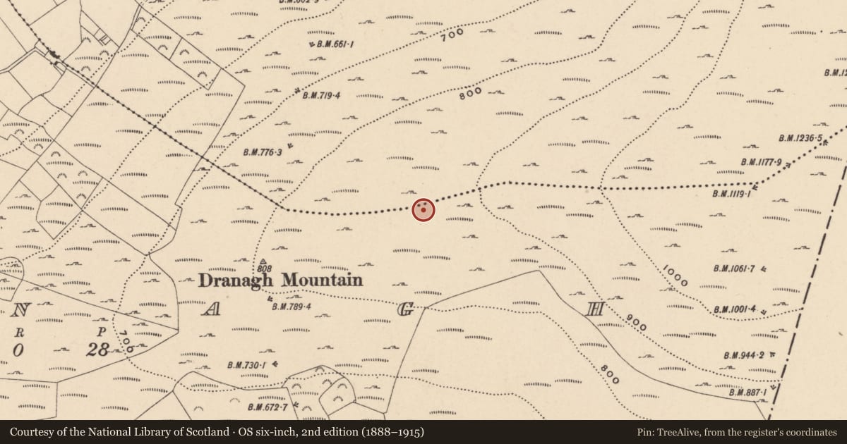 Ordnance Survey six-inch map, 2nd edition (1888–1915) covering the location of Cairn - unclassified, Dranagh, County Carlow, with a pin at the register's coordinates