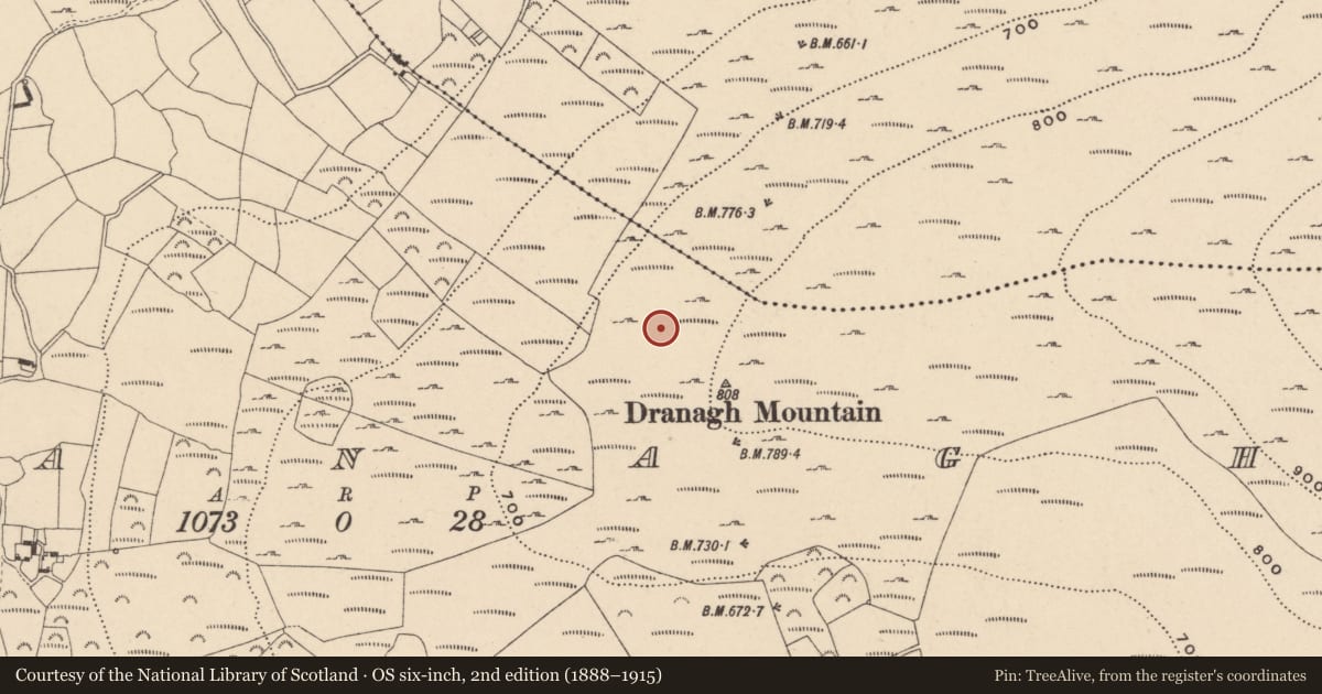 Ordnance Survey six-inch map, 2nd edition (1888–1915) covering the location of Cairn - unclassified, Dranagh, County Carlow, with a pin at the register's coordinates
