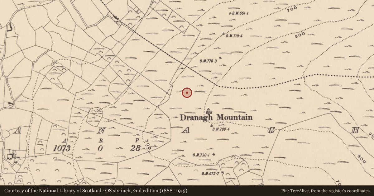 Ordnance Survey six-inch map, 2nd edition (1888–1915) covering the location of Cairn - unclassified, Dranagh, County Carlow, with a pin at the register's coordinates
