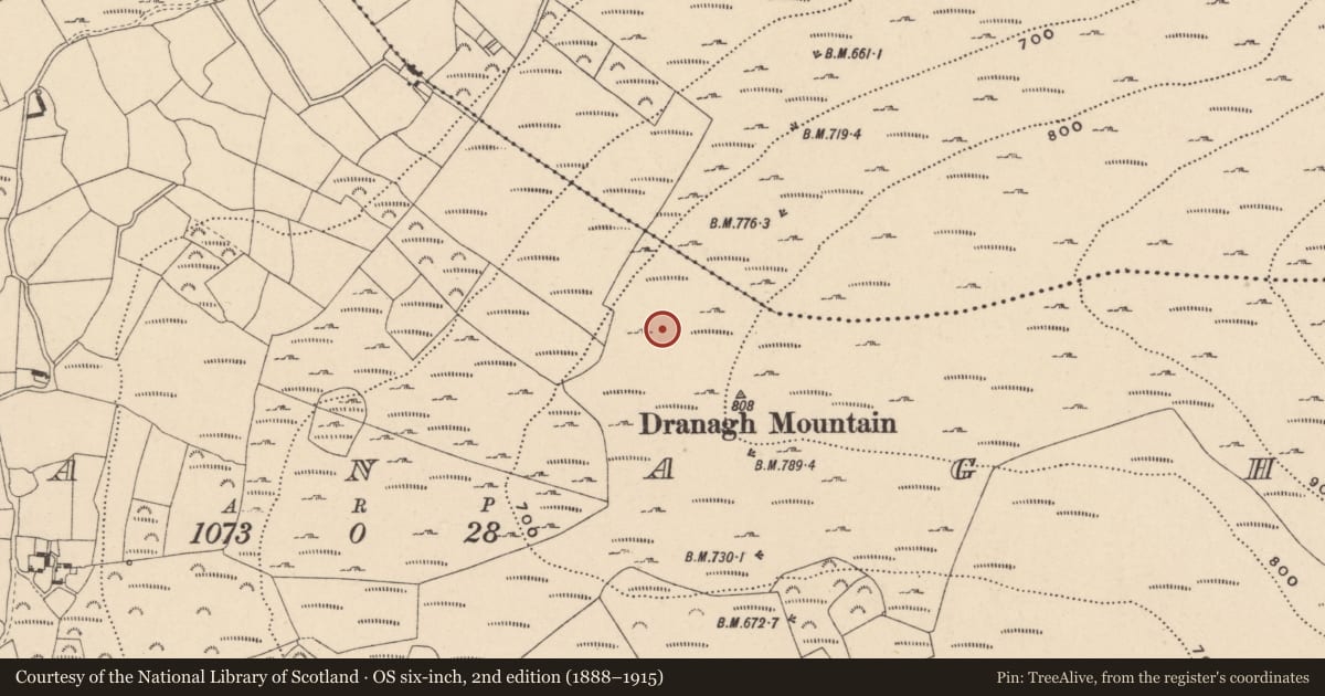 Ordnance Survey six-inch map, 2nd edition (1888–1915) covering the location of Cairn - unclassified, Dranagh, County Carlow, with a pin at the register's coordinates