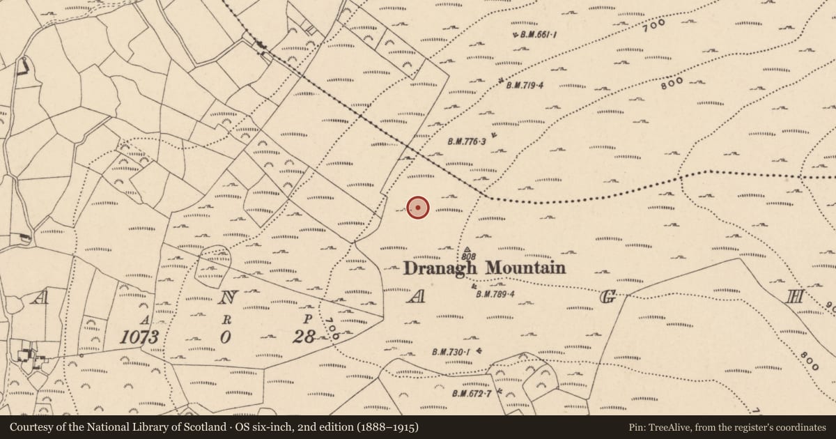 Ordnance Survey six-inch map, 2nd edition (1888–1915) covering the location of Cairn - unclassified, Dranagh, County Carlow, with a pin at the register's coordinates