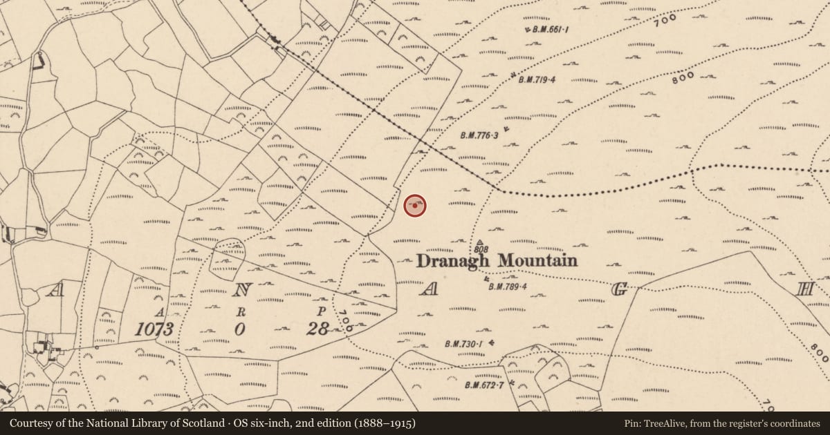 Ordnance Survey six-inch map, 2nd edition (1888–1915) covering the location of Cairn - unclassified, Dranagh, County Carlow, with a pin at the register's coordinates