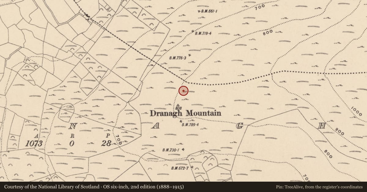 Ordnance Survey six-inch map, 2nd edition (1888–1915) covering the location of Cairn - unclassified, Dranagh, County Carlow, with a pin at the register's coordinates