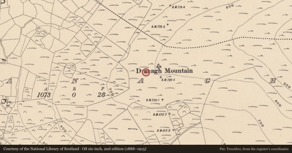 Ordnance Survey six-inch map, 2nd edition (1888–1915) covering the location of Cairn - unclassified, Dranagh, County Carlow, with a pin at the register's coordinates