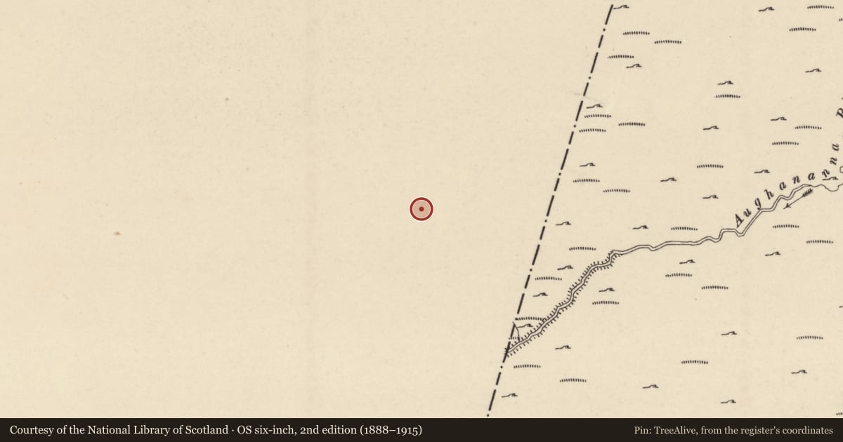 Ordnance Survey six-inch map, 2nd edition (1888–1915) covering the location of Cairn - unclassified, Dranagh, County Carlow, with a pin at the register's coordinates