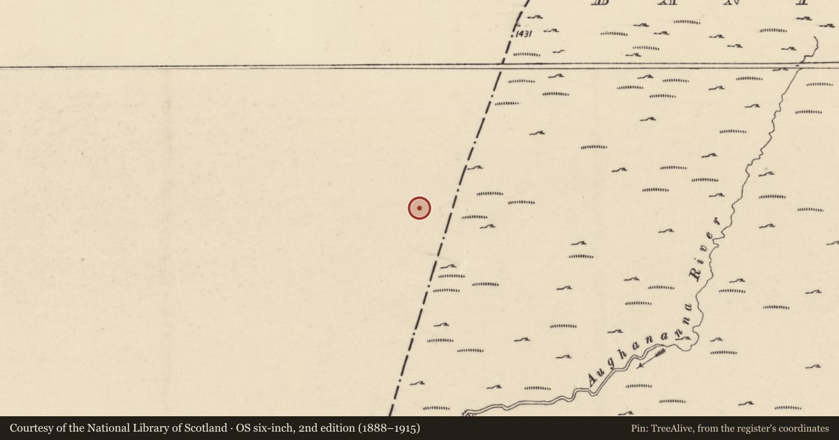 Ordnance Survey six-inch map, 2nd edition (1888–1915) covering the location of Cairn - unclassified, Ballycrinnigan, Dranagh, County Carlow, with a pin at the register's coordinates