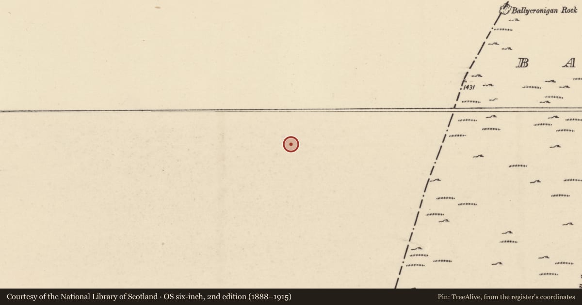Ordnance Survey six-inch map, 2nd edition (1888–1915) covering the location of Hut site, Ballycrinnigan, County Carlow, with a pin at the register's coordinates