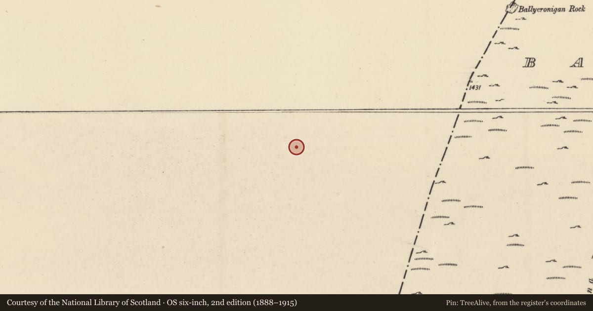 Ordnance Survey six-inch map, 2nd edition (1888–1915) covering the location of Structure, Ballycrinnigan, County Carlow, with a pin at the register's coordinates