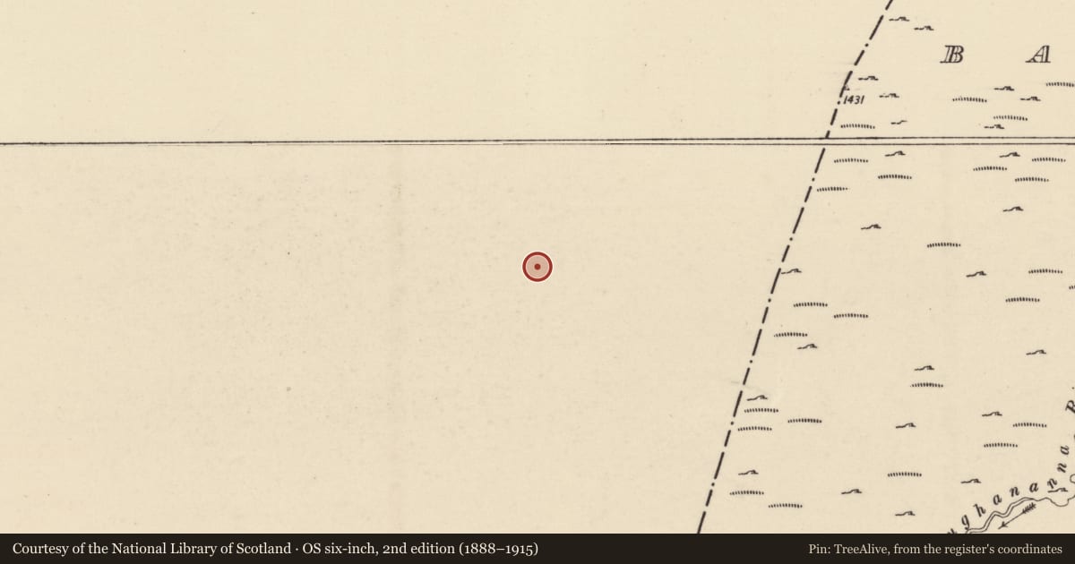Ordnance Survey six-inch map, 2nd edition (1888–1915) covering the location of Hut site, Ballycrinnigan, County Carlow, with a pin at the register's coordinates