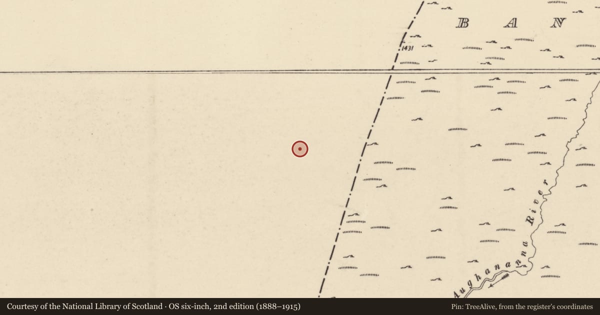 Ordnance Survey six-inch map, 2nd edition (1888–1915) covering the location of Hut site, Ballycrinnigan, County Carlow, with a pin at the register's coordinates