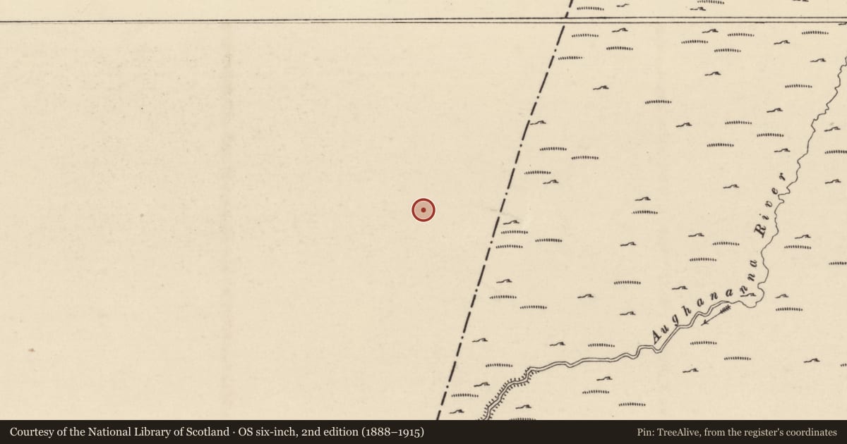 Ordnance Survey six-inch map, 2nd edition (1888–1915) covering the location of Hut site, Dranagh, County Carlow, with a pin at the register's coordinates