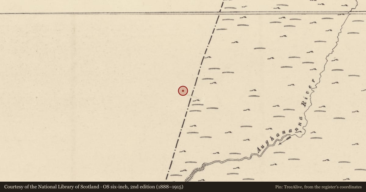 Ordnance Survey six-inch map, 2nd edition (1888–1915) covering the location of Hut site, Dranagh, County Carlow, with a pin at the register's coordinates