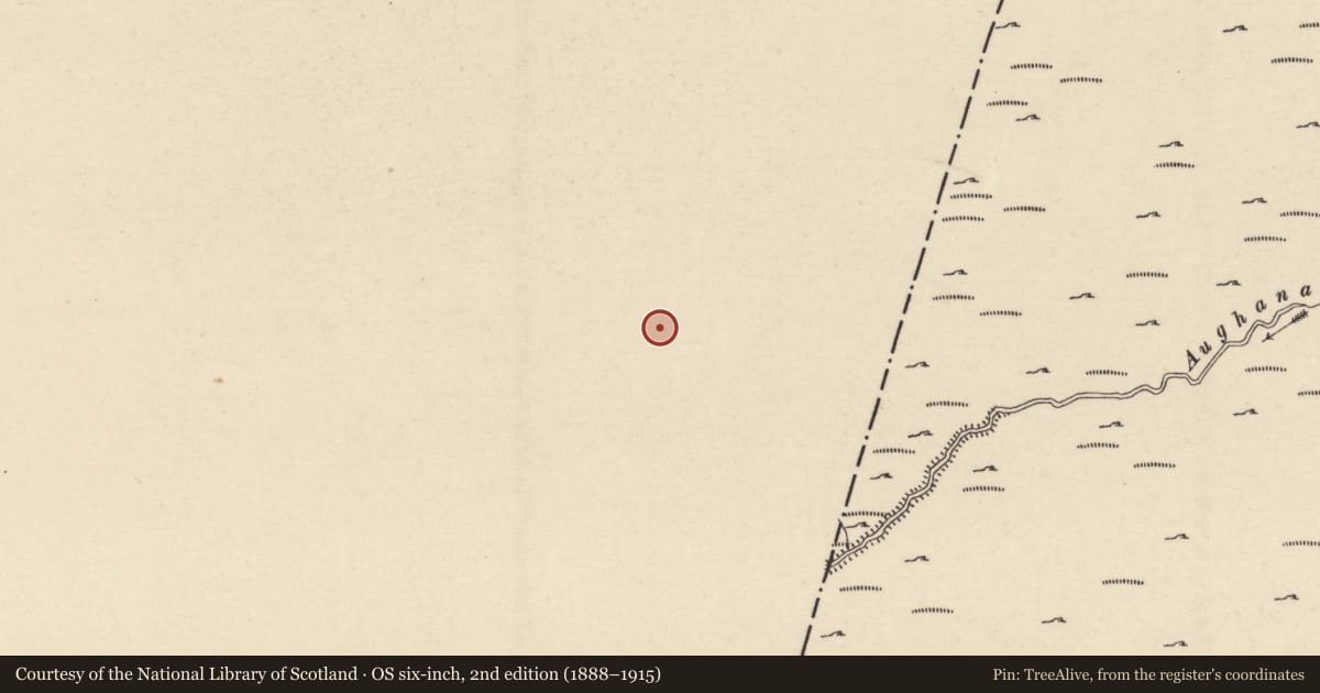 Ordnance Survey six-inch map, 2nd edition (1888–1915) covering the location of Hut site, Dranagh, County Carlow, with a pin at the register's coordinates