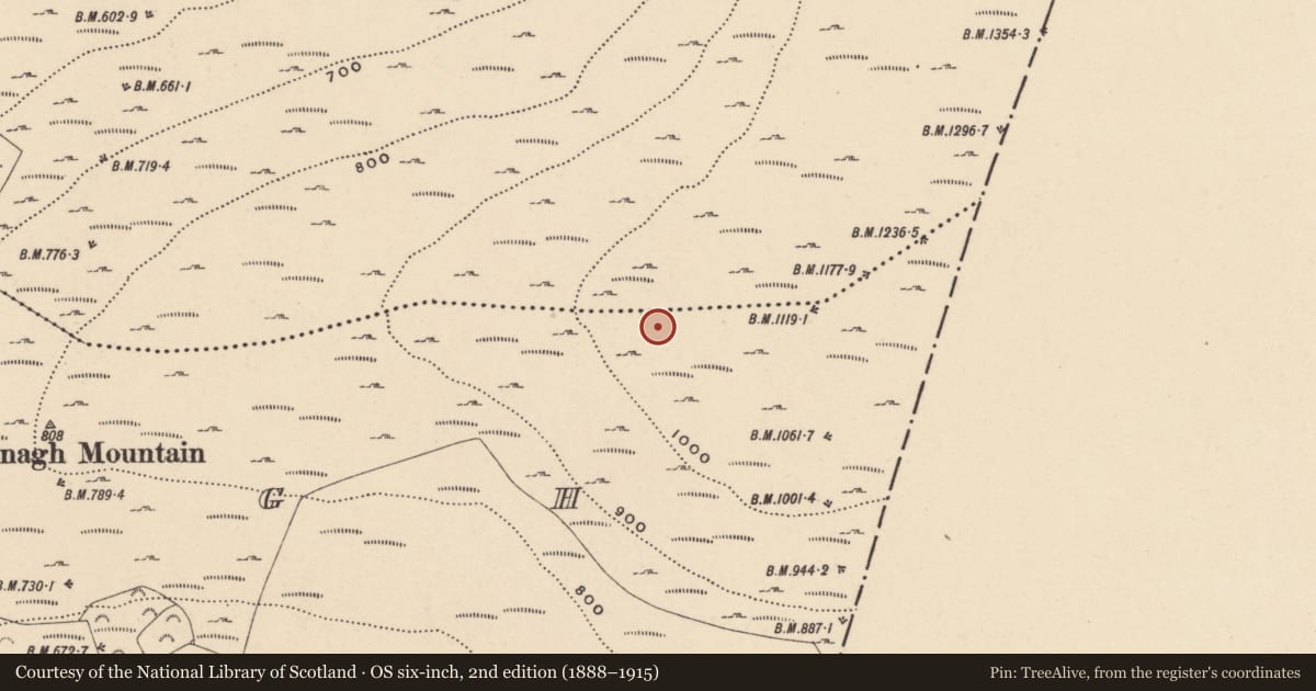 Ordnance Survey six-inch map, 2nd edition (1888–1915) covering the location of Hut site, Dranagh, County Carlow, with a pin at the register's coordinates