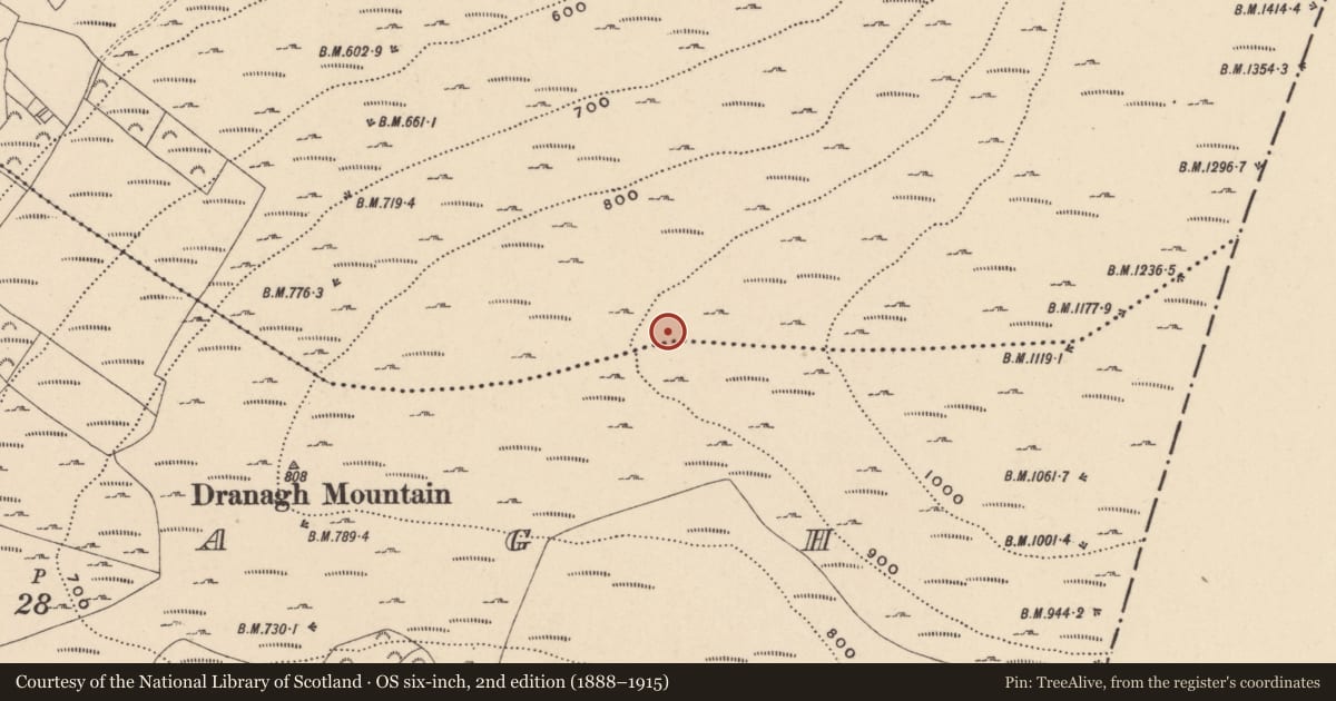 Ordnance Survey six-inch map, 2nd edition (1888–1915) covering the location of Hut site, Ballycrinnigan, County Carlow, with a pin at the register's coordinates
