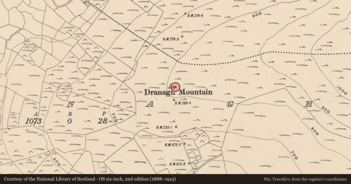 Ordnance Survey six-inch map, 2nd edition (1888–1915) covering the location of Standing stone, Dranagh, County Carlow, with a pin at the register's coordinates
