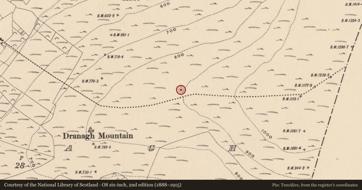Ordnance Survey six-inch map, 2nd edition (1888–1915) covering the location of Structure, Ballycrinnigan, County Carlow, with a pin at the register's coordinates