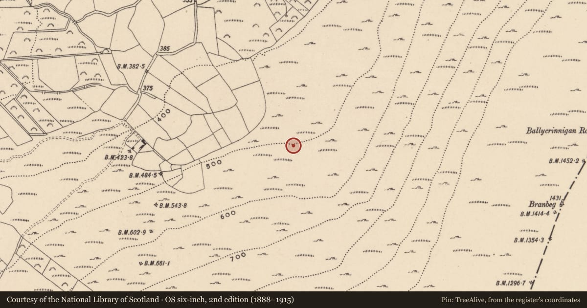 Ordnance Survey six-inch map, 2nd edition (1888–1915) covering the location of Enclosure, Ballycrinnigan, County Carlow, with a pin at the register's coordinates