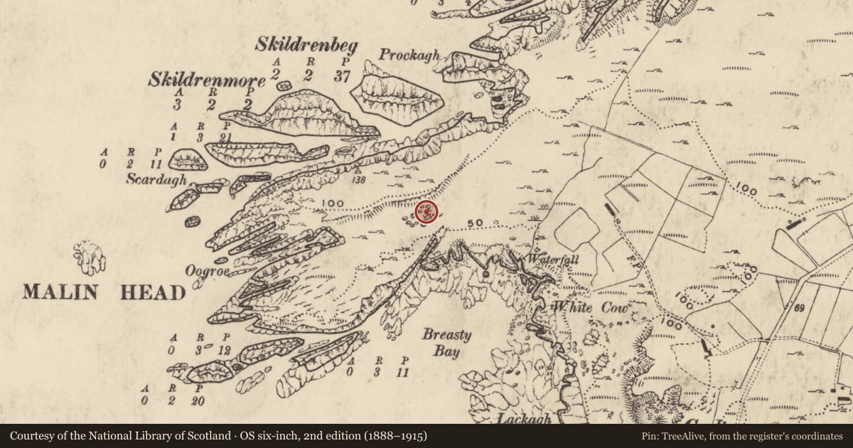 Ordnance Survey six-inch map, 2nd edition (1888–1915) covering the location of Field boundary, Ardmalin, County Donegal, with a pin at the register's coordinates