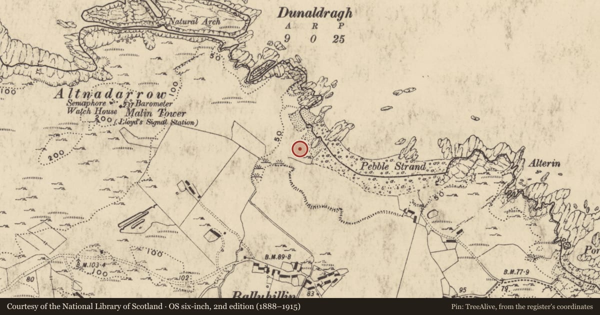 Ordnance Survey six-inch map, 2nd edition (1888–1915) covering the location of Children's burial ground, Ardmalin, County Donegal, with a pin at the register's coordinates