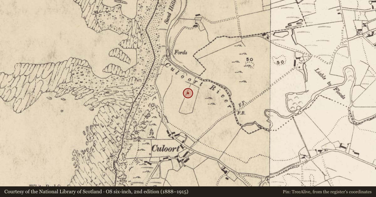 Ordnance Survey six-inch map, 2nd edition (1888–1915) covering the location of Burial ground, Culoort, County Donegal, with a pin at the register's coordinates